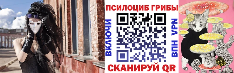 хочу   kraken tor  Галлюциногенные грибы Magic Shrooms  Инсар 